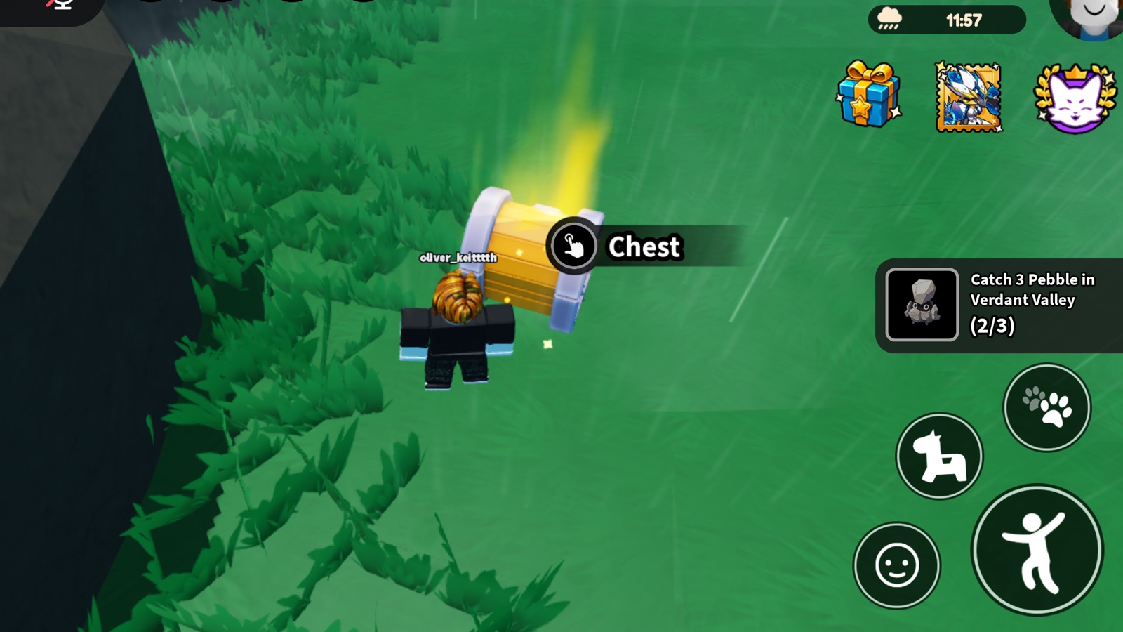 Evomon Verdant Valley chest interaction